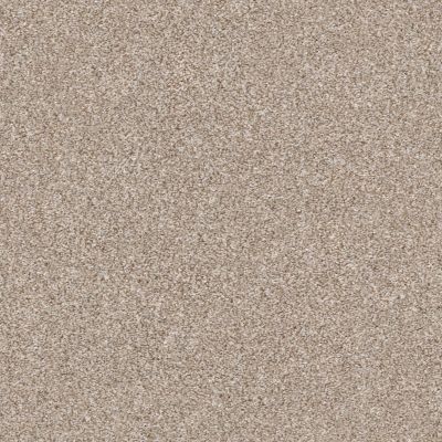 Shaw Floors Roll Special Xz166 Grecian Tan 00720_XZ166