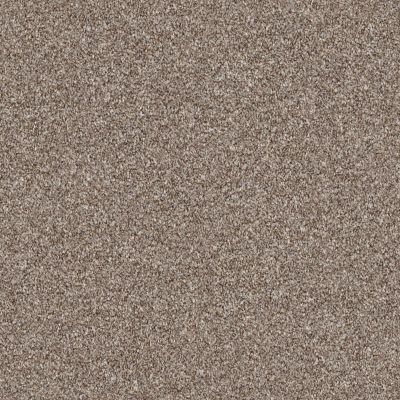 Shaw Floors Roll Special Xz166 Fox Hollow 00722_XZ166