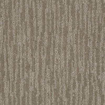 Shaw Floors Value Collections Xz167 Net Papoose 00700_XZ167