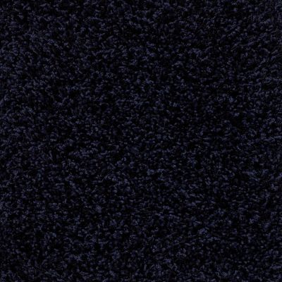 Anderson Tuftex Uptown Girl Midnight 00449_Z6169