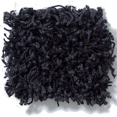Anderson Tuftex Uptown Girl Fun, Fun Licorice 169AG_00559