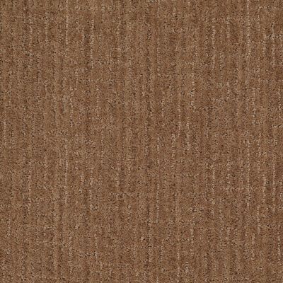Anderson Tuftex Del Sur II Indian Spice 00654_Z6776
