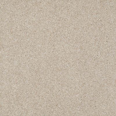 Anderson Tuftex Shady Canyon Country Cream 00170_Z6786