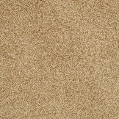 Anderson Tuftex Shady Canyon Gold Dust 00225_Z6786