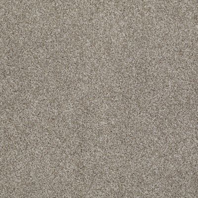 Anderson Tuftex Shady Canyon Demure Taupe 00573_Z6786