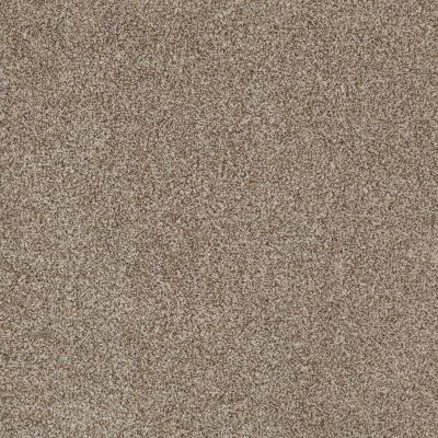 Anderson Tuftex Shady Canyon Tumbled Stone 00753_Z6786