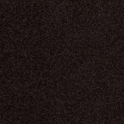 Anderson Tuftex Shady Canyon Dark Espresso 00759_Z6786