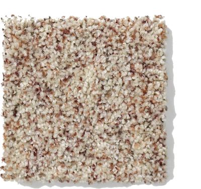 Anderson Tuftex Classics Pure Style I Berber Tweed 813AG_0121B