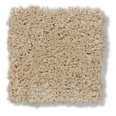 Anderson Tuftex Classics Pure Style I Humus 814AG_00122