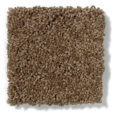 Anderson Tuftex Classics Pure Style I Vicuna 814AG_00736