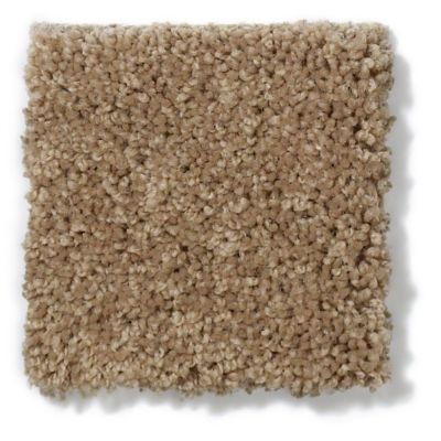 Anderson Tuftex Classics Pure Style I Sable 814AG_00754