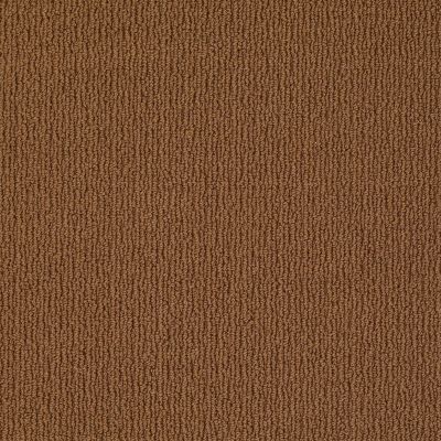 Anderson Tuftex Classics Casual Mood Modern Brown 00728_Z6820