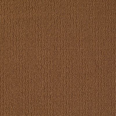 Anderson Tuftex Classics Casual Mood Modern Brown 00728_Z6820