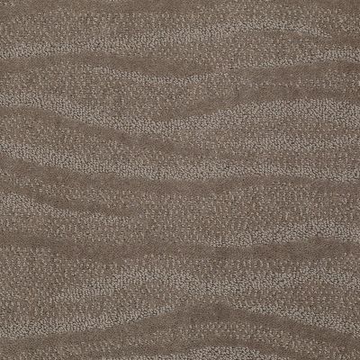 Anderson Tuftex Classics Surf’s Up Simply Taupe 00572_Z6822