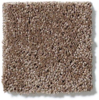 Anderson Tuftex Classics Interlude Mocha Latte 852AG_00776