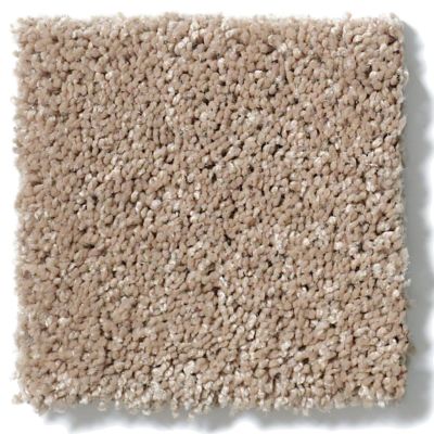 Anderson Tuftex Fantasy Exquisite Dusty Trail 853AG_00773