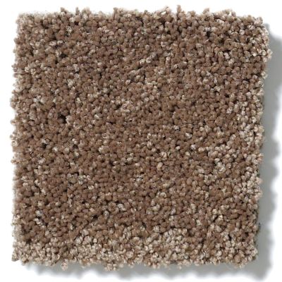 Anderson Tuftex Fantasy Exquisite Mocha Latte 853AG_00776