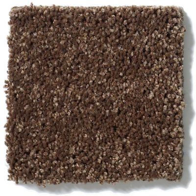Anderson Tuftex Fantasy Exquisite Rocky Road 853AG_00778