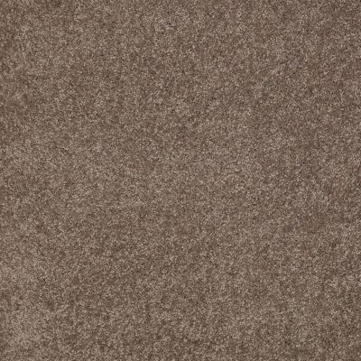 Anderson Tuftex One Sweet Day Gunmetal 00576_Z6854