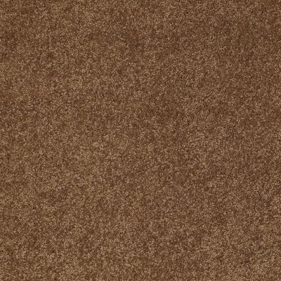 Anderson Tuftex One Sweet Day Vintage Brown 00775_Z6854