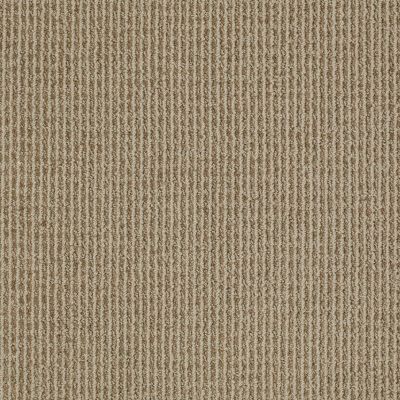 Anderson Tuftex Classics Something New Neutral Taupe 00572_Z6861