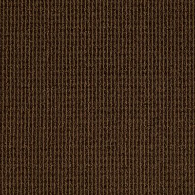 Anderson Tuftex Classics Something New Cocoa Pecan 00777_Z6861