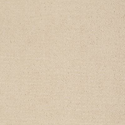 Anderson Tuftex Classics Vibe Macadamia 00122_Z6863