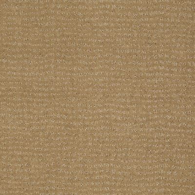 Anderson Tuftex Classics Vibe Sahara Sun 00273_Z6863