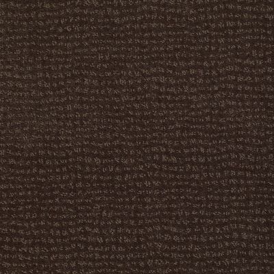 Anderson Tuftex Classics Vibe Dark Earth 00759_Z6863