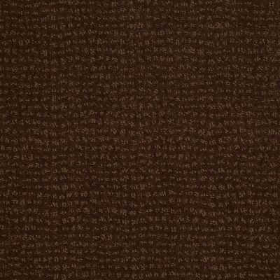 Anderson Tuftex Classics Vibe Cub 00778_Z6863