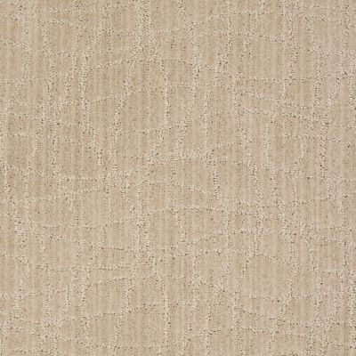 Anderson Tuftex Twist Birch 00112_Z6869