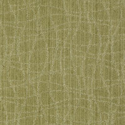 Anderson Tuftex Twist Fresh Grown 00324_Z6869