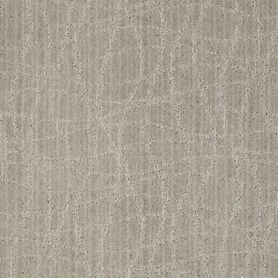 Anderson Tuftex Twist Ash Gray 00552_Z6869