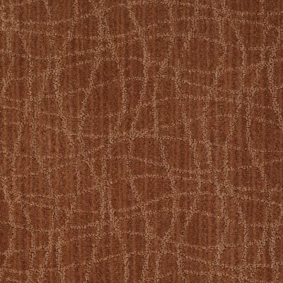 Anderson Tuftex Twist Brushed Clay 00685_Z6869