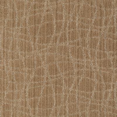 Anderson Tuftex Twist Fine Grain 00784_Z6869
