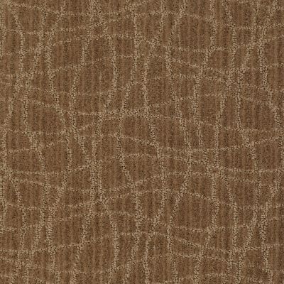 Anderson Tuftex Twist Gingersnap 00787_Z6869