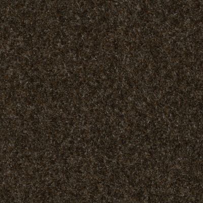 Anderson Tuftex Swag Pewter 00576_Z6880