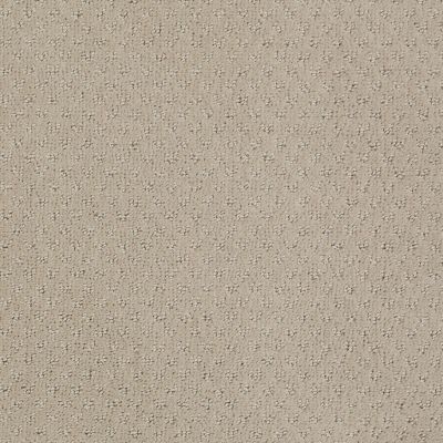 Anderson Tuftex Classics Mar Vista Shy Beige 00112_Z6899