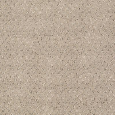 Anderson Tuftex Classics Mar Vista Terrazo 00114_Z6899