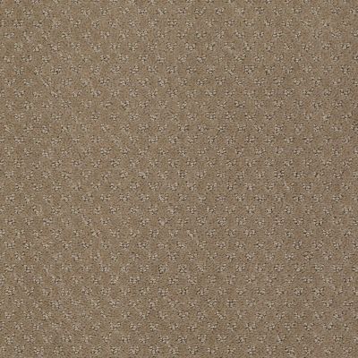 Anderson Tuftex Classics Mar Vista Mystic Brown 00756_Z6899