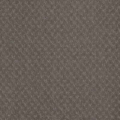 Anderson Tuftex Classics Mar Vista Mink 00792_Z6899