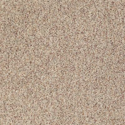 Anderson Tuftex Classics Serendipity II Berber Tweed 0121B_Z6941