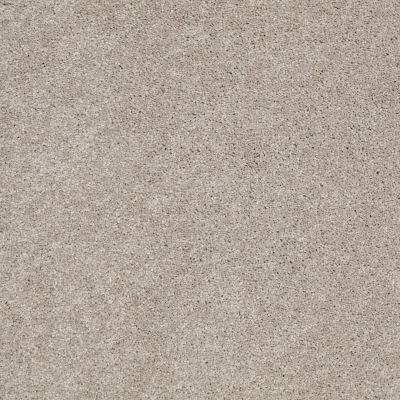 Anderson Tuftex Classics Serendipity II Silver Leaf 00541_Z6942