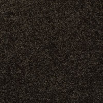 Anderson Tuftex Sasha Bristol 00704_Z6945