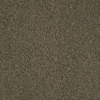 Anderson Tuftex Sasha Glorious 00712_Z6945