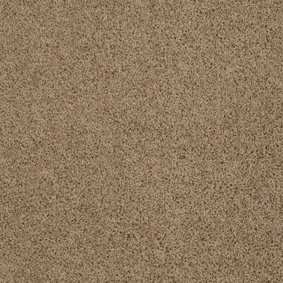 Anderson Tuftex American Home Fashions Beverly Crest Fine Umber 00726_ZA777