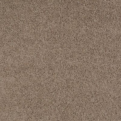 Anderson Tuftex American Home Fashions Beverly Crest Sable 00754_ZA777