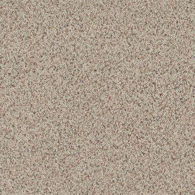 Anderson Tuftex American Home Fashions Beverly Crest Tweed 0121B_ZA777