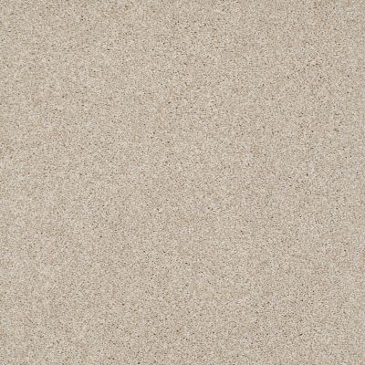 Anderson Tuftex American Home Fashions Ferndale Country Cream 00170_ZA786