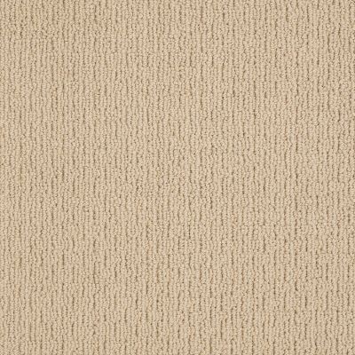 Anderson Tuftex American Home Fashions Another Place Chamois 00221_ZA812